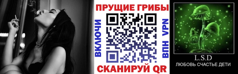 Галлюциногенные грибы Psilocybine cubensis  где купить наркотик  Реж 